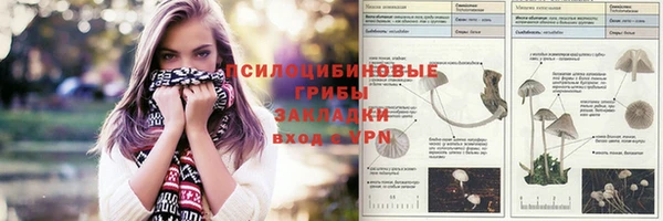 PSILOCYBIN Нея