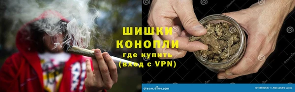 ПСИЛОЦИБИНОВЫЕ ГРИБЫ Новозыбков