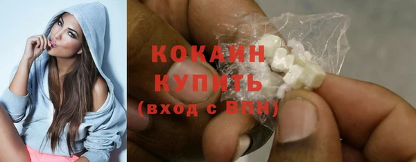ПСИЛОЦИБИНОВЫЕ ГРИБЫ Новозыбков