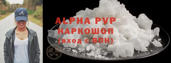 ПСИЛОЦИБИНОВЫЕ ГРИБЫ Новозыбков