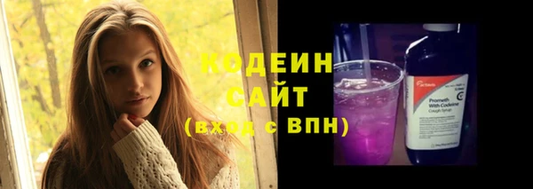 ПСИЛОЦИБИНОВЫЕ ГРИБЫ Новозыбков