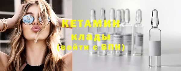 ПСИЛОЦИБИНОВЫЕ ГРИБЫ Новозыбков