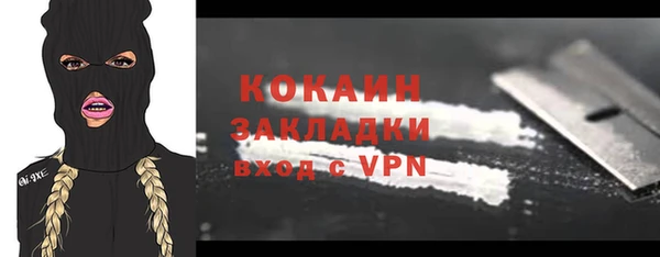 гашик Новодвинск