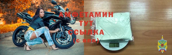ПСИЛОЦИБИНОВЫЕ ГРИБЫ Новозыбков