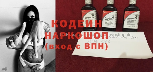 ПСИЛОЦИБИНОВЫЕ ГРИБЫ Новозыбков