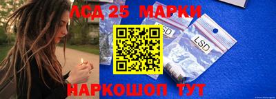 амф Камышлов