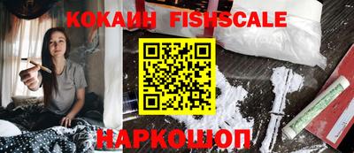 амф Камышлов