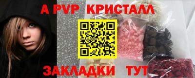 амф Камышлов