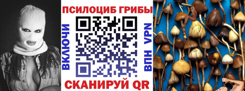 Псилоцибиновые грибы Magic Shrooms  Миллерово 