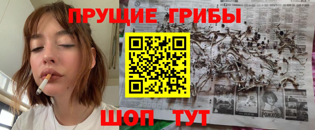 Псилоцибиновые грибы Миллерово