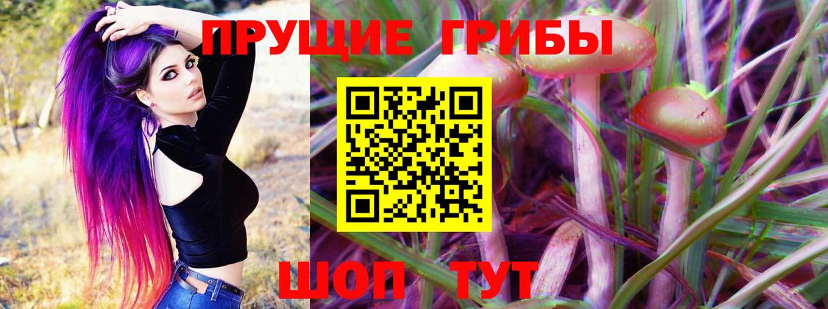 Галлюциногенные грибы GOLDEN TEACHER Миллерово