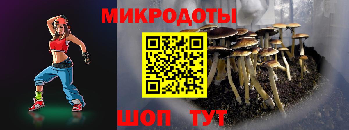 цены   Псилоцибиновые грибы Psilocybine cubensis  Вход с VPN  Миллерово 